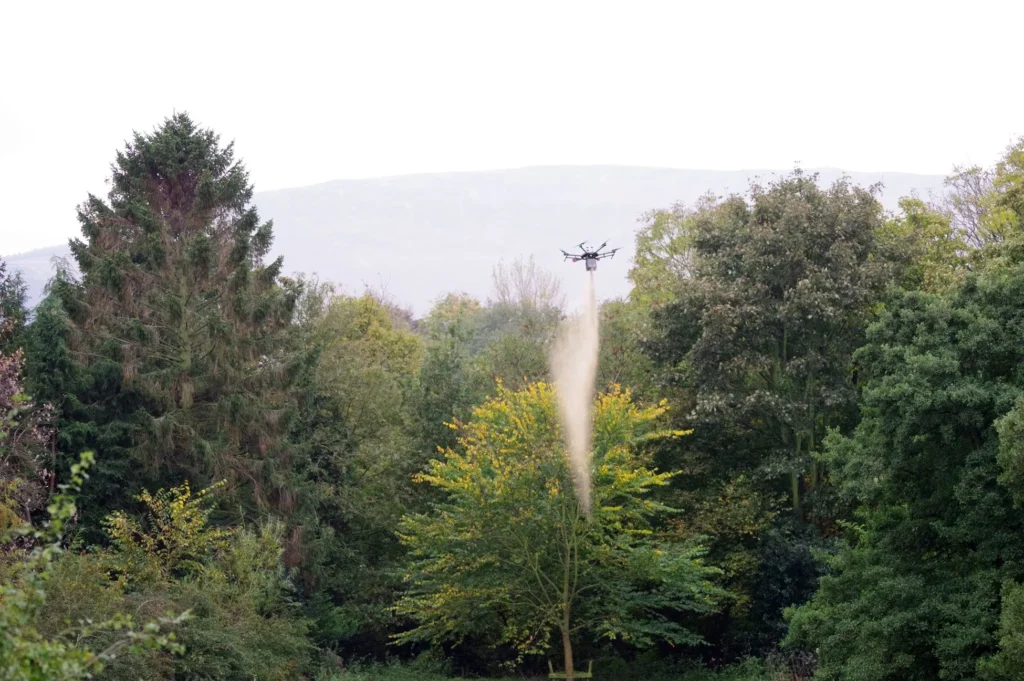 Guidance | IMGP0922_1950