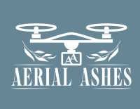 aerial asges logo